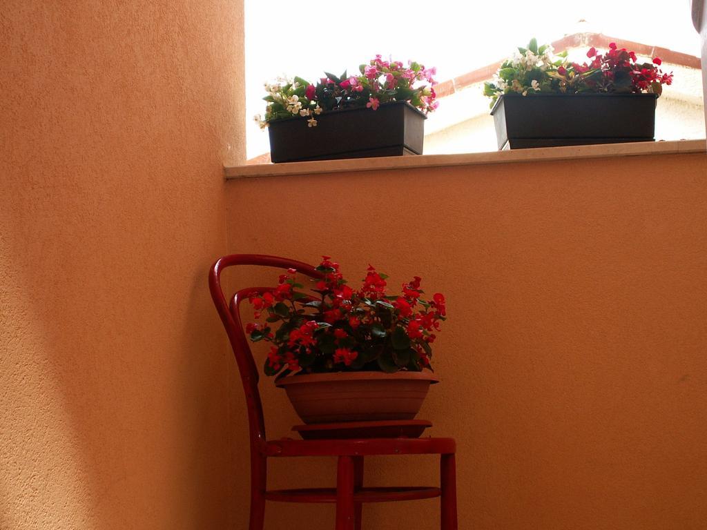 Apartments Villa Bartol Pula Extérieur photo