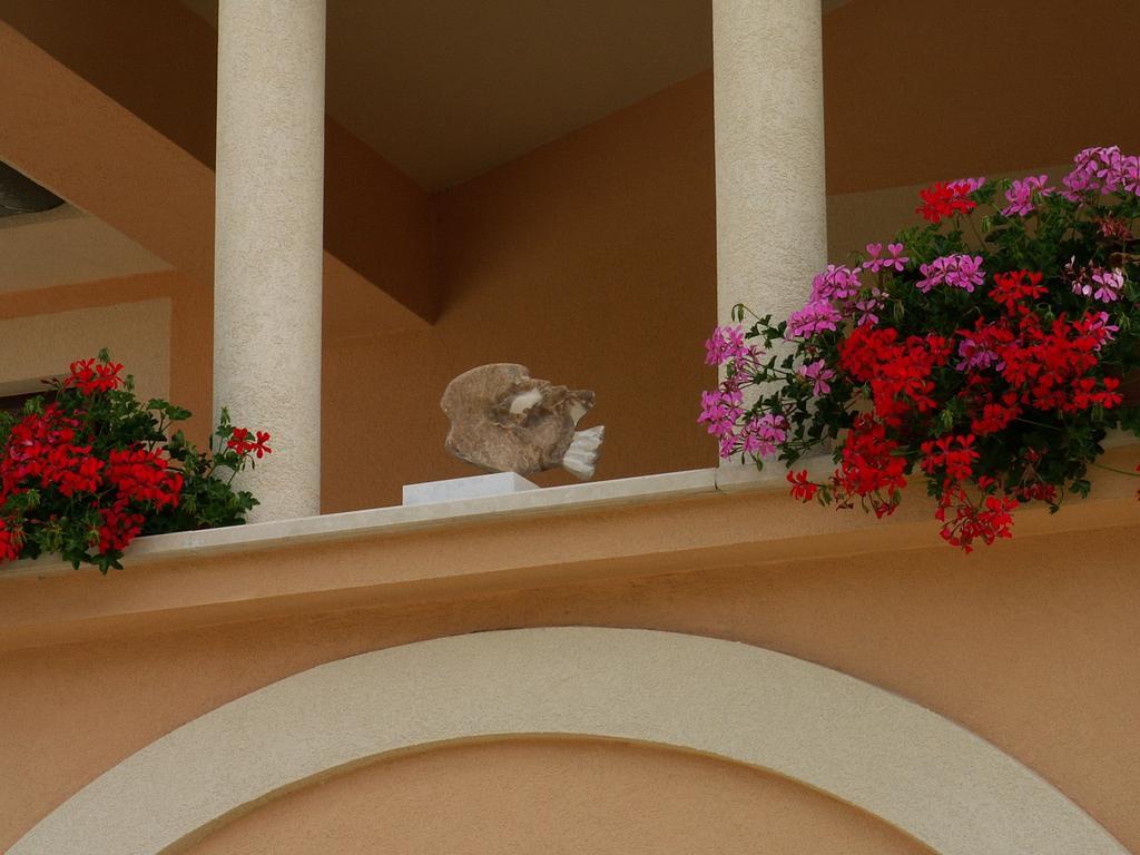 Apartments Villa Bartol Pula Chambre photo